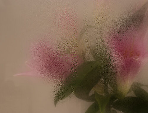 Como evitar que os vidros fiquem embaçados nos dias frios?